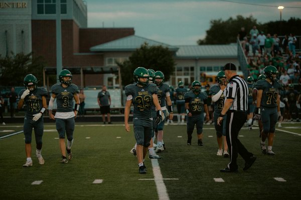 How Can Pet Owners in the UK Make Their Home More Pet-Friendly?